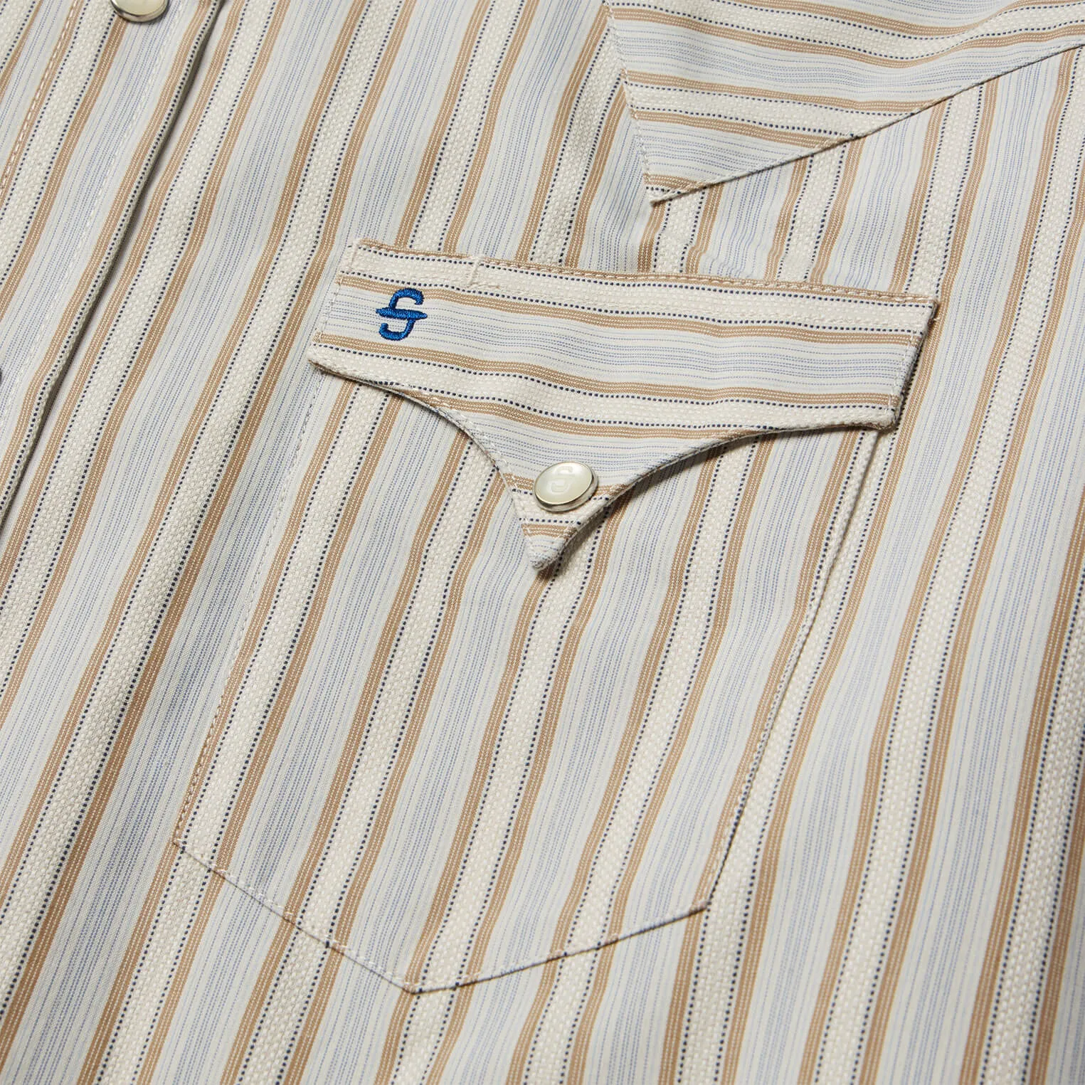 Stetson Men's Ticking Stripe Western Snap Shirt in Brown