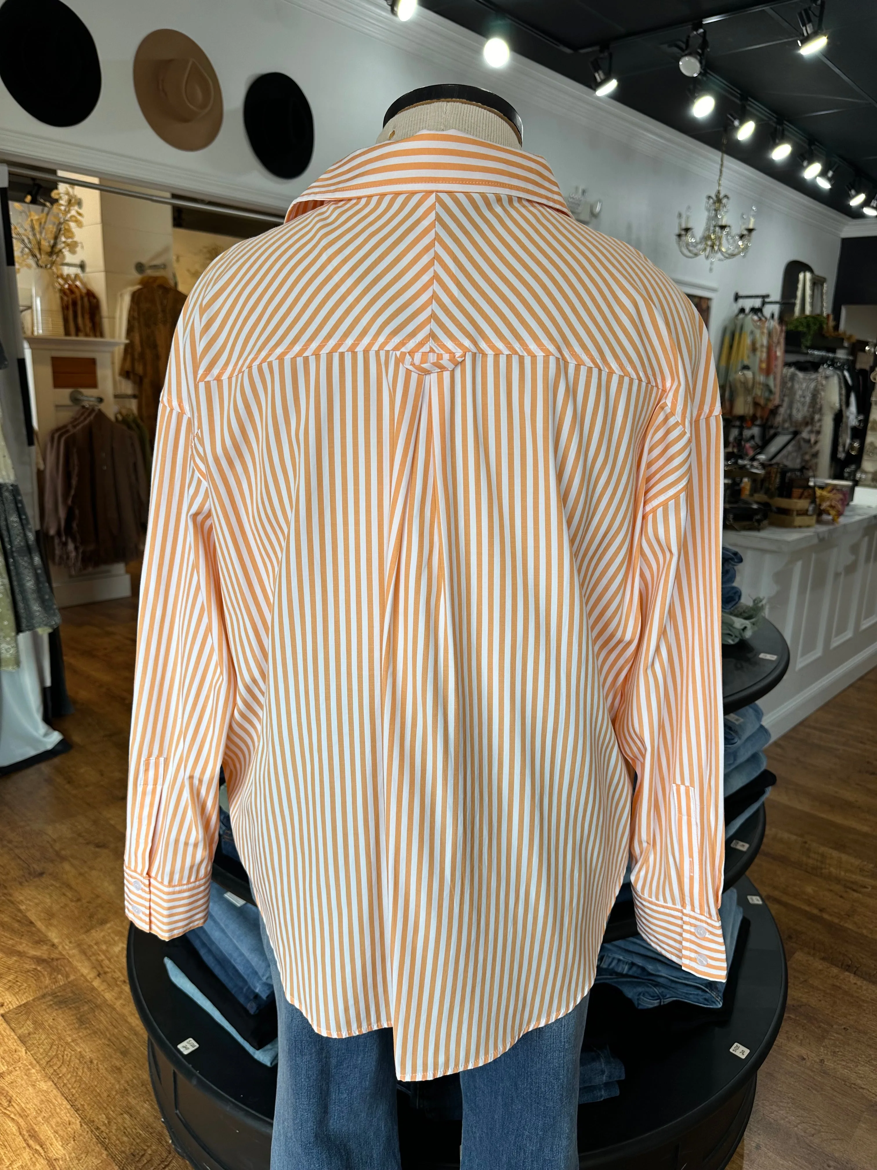 True Intentions Striped Button Down Shirt ~ Citrus
